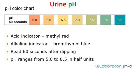 ph ua poc 8.5|Urine pH: Normal ranges and what they mean .